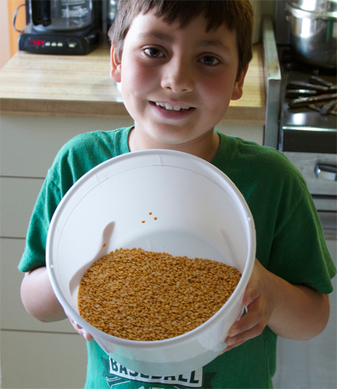 food_toordal_main food_toordal_main