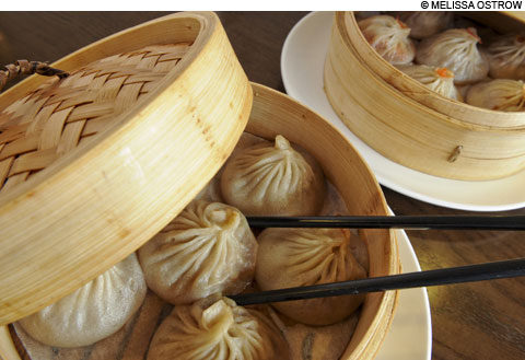 main_dumplings480 main_dumplings480