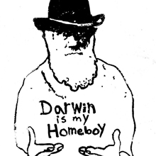 Westminster_Darwin Westminster_Darwin