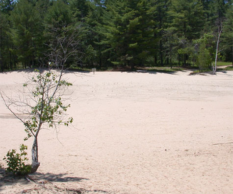 desert475.jpg desert475.jpg