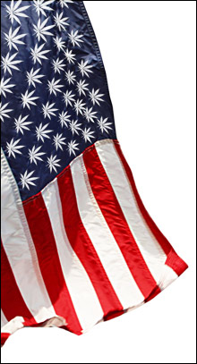 090522_potflag-main2 090522_potflag-main2