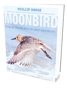 TJI_MoonbirdBook_main