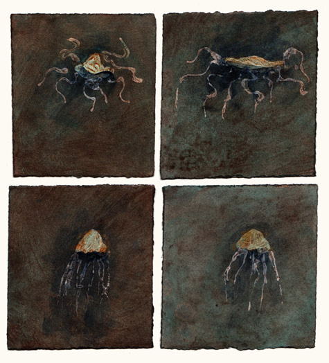 Art_012210Jellyfish_main Art_012210Jellyfish_main