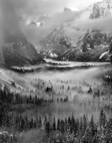 DAWN-MIST_main DAWN-MIST_main
