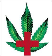 EVERYONE, IT SEEMS knows someone who would like to use medical marijuana to cope with such debilitating illnesses as cancer, AIDS, and multiple sclerosis. EVERYONE, IT SEEMS knows someone who would like to use medical marijuana to cope with such debilitating illnesses as cancer, AIDS, and multiple sclerosis.