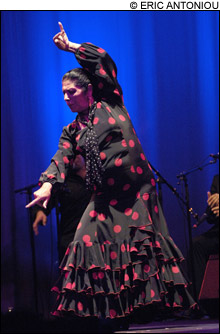 1111_flamenco_main