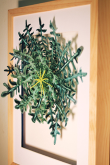 0124_art_plant_wrap.jpg 0124_art_plant_wrap.jpg