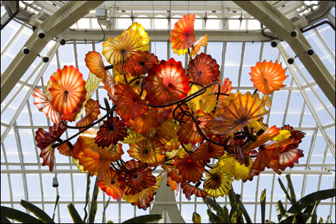 Chihuly_01.jpg