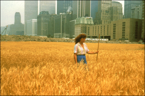 inside_GHagneswheatfield inside_GHagneswheatfield