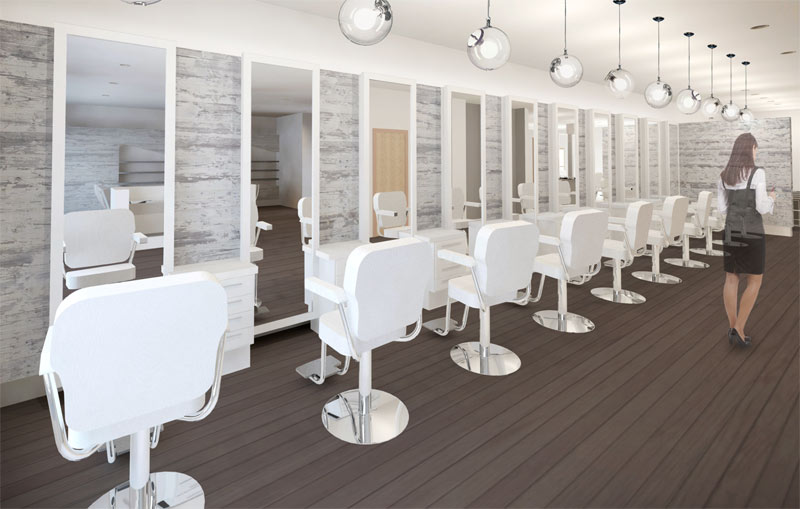 rendering_salon