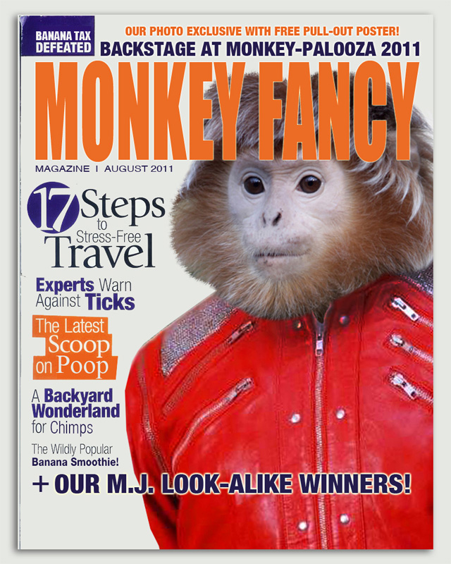 MonkeyFancy_main