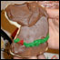 food_chocolatelab_list