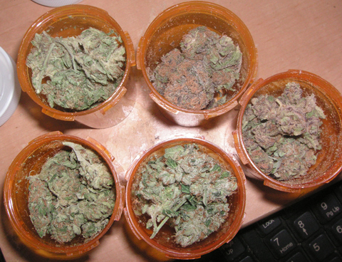 Medicinal_Marijuana_main