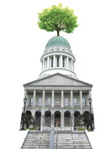 StateHousewTree_main