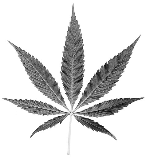 TJI031210_Pot_main