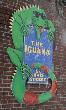 SIGN OF THE TIMES Iguana’s look is on the way out.